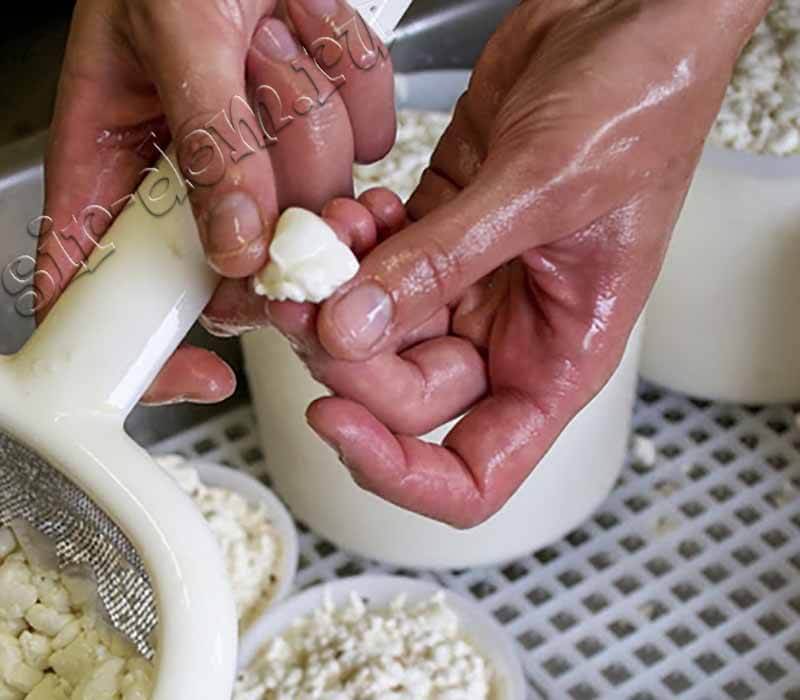 определение влажности сырного зерна - готовим качотту дома